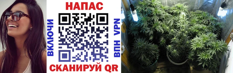 Купить наркотики Куровское гидра ТОР  КОКАИН  Меф  Марихуана 