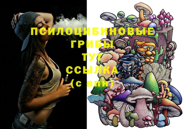 ПСИЛОЦИБИНОВЫЕ ГРИБЫ Алексеевка