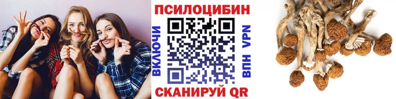 Псилоцибиновые грибы ЛСД Куровское